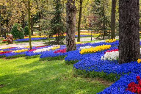 Amazing Flowering Garden Famous Turkish Park Emirgan Korusu In