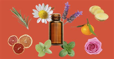 Relating to something's or someone's basic or most essential american english. Are Essential Oils Safe? 13 FAQs on Ingestion, Pregnancy ...