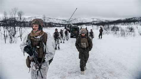 Arctic Littoral Strike Marines Norwegian Military Conduct Exercise In