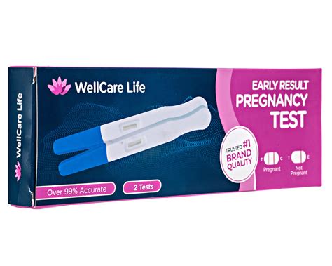 Buy Fake Pregnancy Test Practical Joke Fake Prank Pregnancy Test Always Positive Funny
