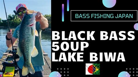 Pescaria De Black Bass Achig Up Lake Biwa Jap O Youtube