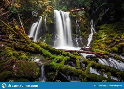 Downing Creek Falls A Hidden Falls In Oregon Stock Image Image Of