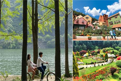 Nami Island Petite France And The Garden Of Morning Calm Day Trip From