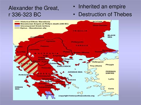 Ppt The Decline Of The City State And The Rise Of The Hellenistic Age