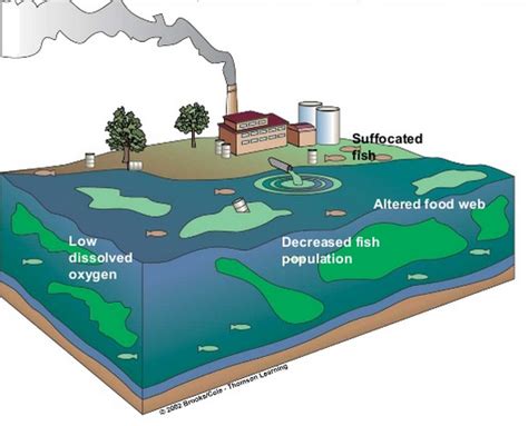 Water Pollution Cause Effects Types And How To Control Linquip