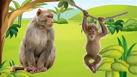 Hình ảnh Con Khỉ Dễ Thương đáng Yêu đẹp Nhất Thế Giới Windowvn