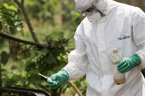 Геморрагическая лихорадка эбола (лихорадка эбола, геморрагическая лихорадка эбола, англ. Най-сериозната епидемия от ебола досега | webcafe.bg