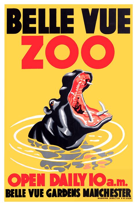 1950 Belle Vue Zoo Hippopotamus Poster by Retro Graphics | Zoo poster