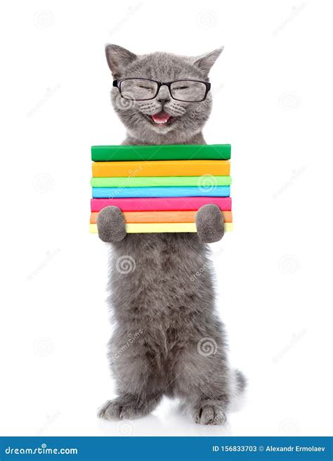 Happy Cat In Eyeglasses Holding A Stack Of Books Isolated On White