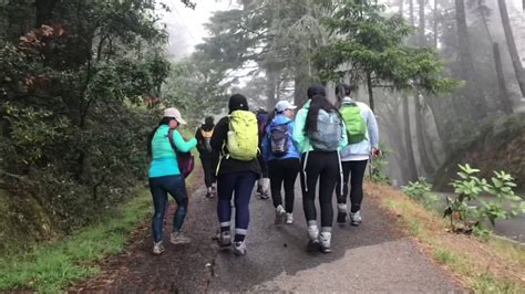 Mount tamalpais state park is a california state park, located in marin county, california. MT. TAMALPAIS STATE PARK - YouTube