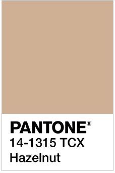 10 Nude Pantones Ideas Pantone Color Pantone Color Inspiration