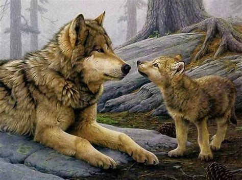 There's red wolves & gray wolves. Wolf Cub - DiamondXpres