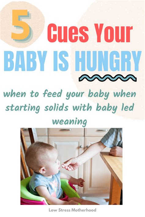 Baby Led Weaning For Beginners 5 Cues Your Baby Is Hungry Low