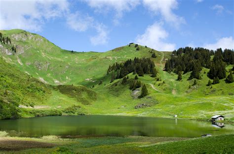 Landscape Of Hills At Lac Des Chavonnes Ormont Dessous