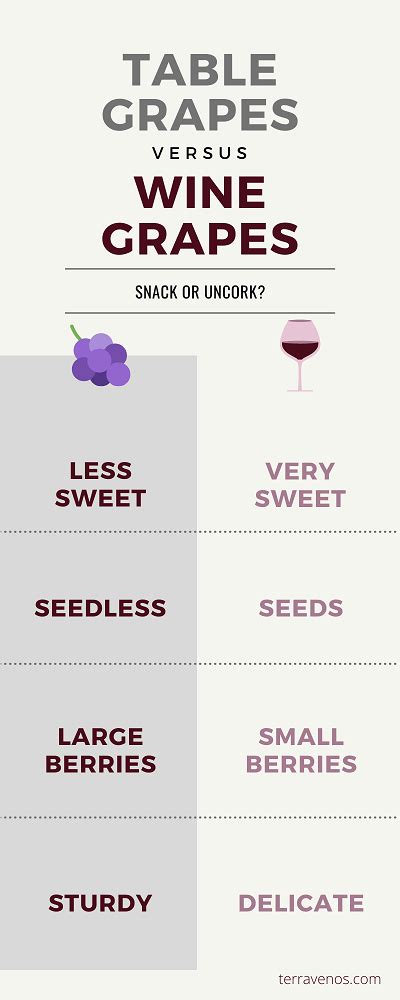 Are Wine Grapes Edible — Tèr·ra·ve·nos