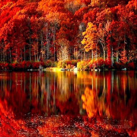Mother Nature At Her Best Autumn Scenery Autumn Scenes Fall Pictures