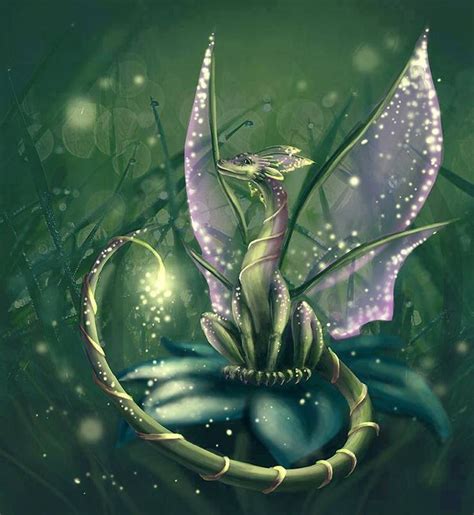 Fairy Dragon Fairy Dragon Fantasy Dragon Dragon Dreaming