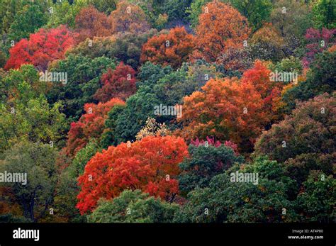 Fall Color In Ohiopyle State Park In Southwestern Pennsylvania Stock