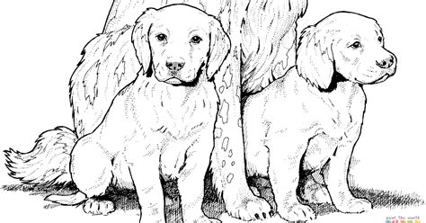 Coloriage Labrador Chiot Photo En Couleur | 30000 ++ collections de pages à colorier imprimables