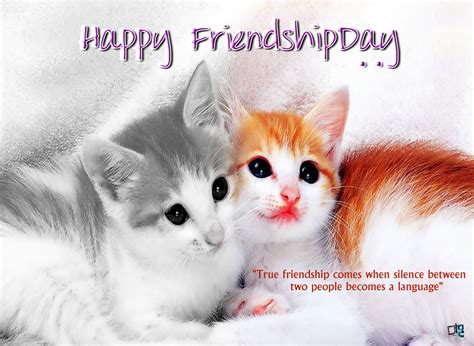 5 famous quotes about cat friendship: Friendship Quotes And Cute Cat Picture. QuotesGram