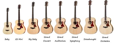 Taylor Guitars Categorized By Shape