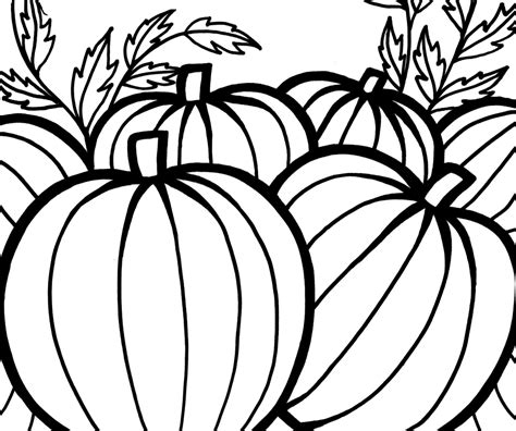 pumpkins coloring pages  celebrate thanksgiving learn  coloring