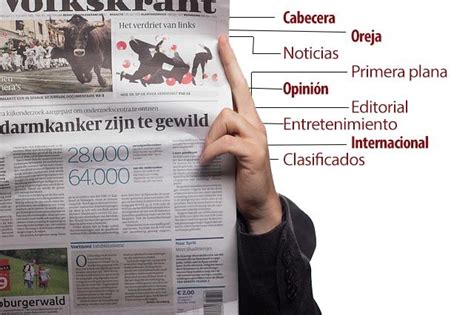 ¿cuáles Son Las Partes Y Secciones De Un Periódico Periodismo