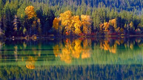 Best Time To See Lake Wenatchee Fall Colors In Washington 2022 Roveme