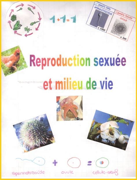 La Reproduction Sexuée Illustrée Par Les 4èmes Vive Les Svt Les Sciences De La Vie Et De La