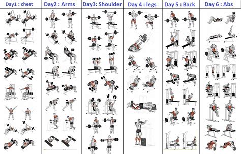 Top 5 Day Workout Routine For Man Bodydulding