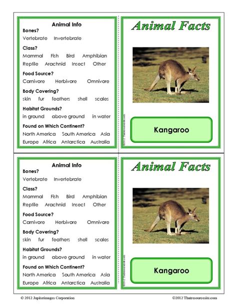 This is a podcast by and for kids giving you the coolest facts about the coolest animals. Kangaroo Animal Facts Learning Card - That Resource Site