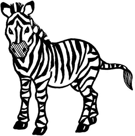 Yürüyen Zebra Çizimi Boyama Sayfası Boyama Online