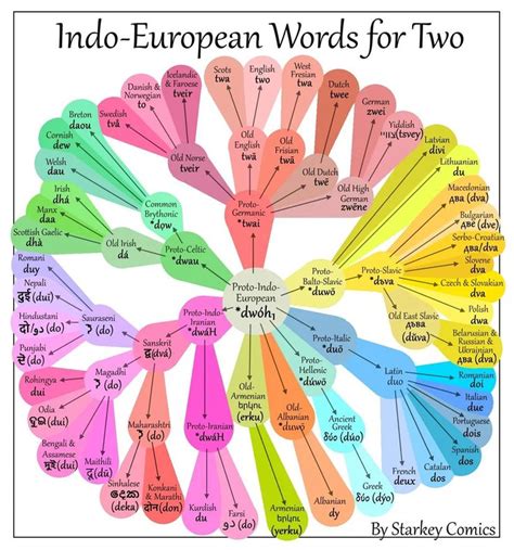 The Words For Two In 75 Different Languages And How They Are Related