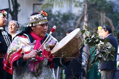 Chile Mapuche Communities Affected By Earthquake · Global Voices