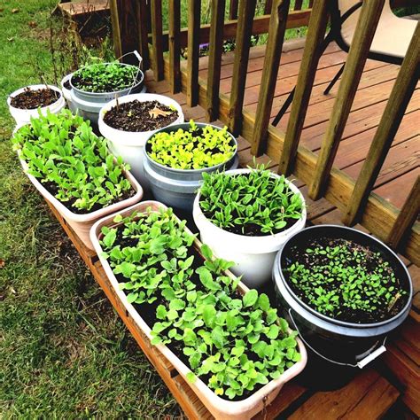 35 Advantageous Small Vegetable Garden Ideas For Your Backyard Home