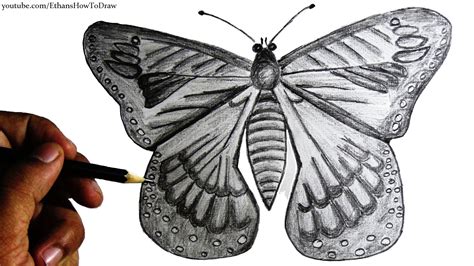 Butterfly Drawings In Pencil At Explore Collection