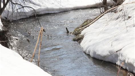 Spring Snow Melting On The River In April Stock Footage Video 3672290