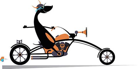 Best Dog On Motorcycle Illustrations Royalty Free Vector Graphics