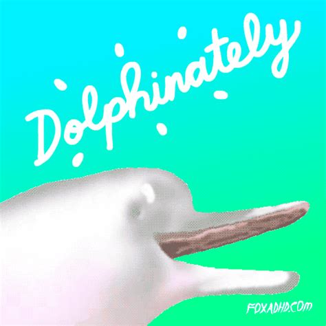 Dolphin Sex S Get The Best  On Giphy