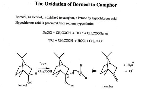Solved In The Lab The Oxidation Of Borneol To Camphor What