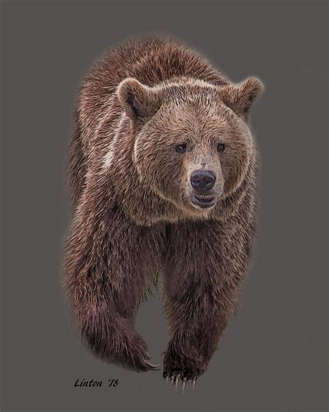 Brown Bear Painting