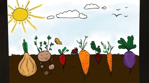 How To Draw A Veggie Garden Youtube