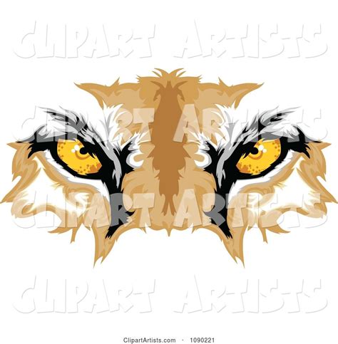 Cougar Mascot Eyes Clipart By Chromaco