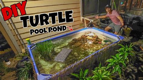 Upgrading My Backyard Turtle Pool Pond Youtube