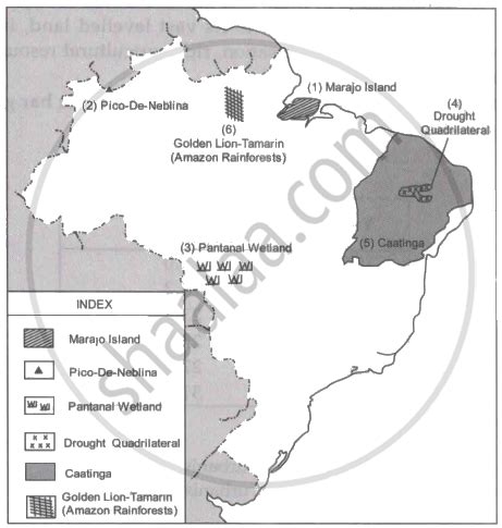 Mark The Following In The Outline Map Of Brazil Supplied To You Write The Names And Give Index
