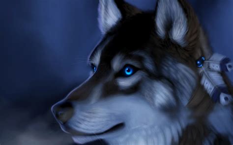 White anime wolves anime wolf wolf artwork anime. Anime Wolf Wallpapers (78+ background pictures)