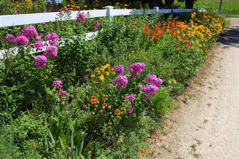 Subsequently, gardening in zone 6 is exceptionally gratifying because many plants do well in this climate zone. 68 best Gardening in Zone 5 images on Pinterest ...