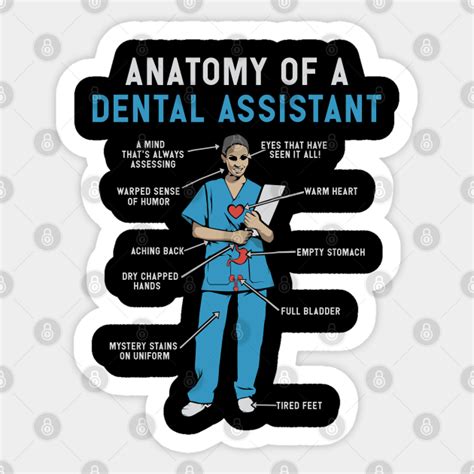 Anatomy Of Dental Assistant T Shirt And Ts Funny Dental Assistant T Dental Assistant