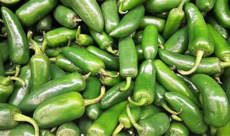 The Most Surprising Health Benefits Of Jalapeno Peppers Health Cautions