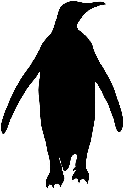 Silhouette Pinguin Silhouetten Und Kontur Vektoren
